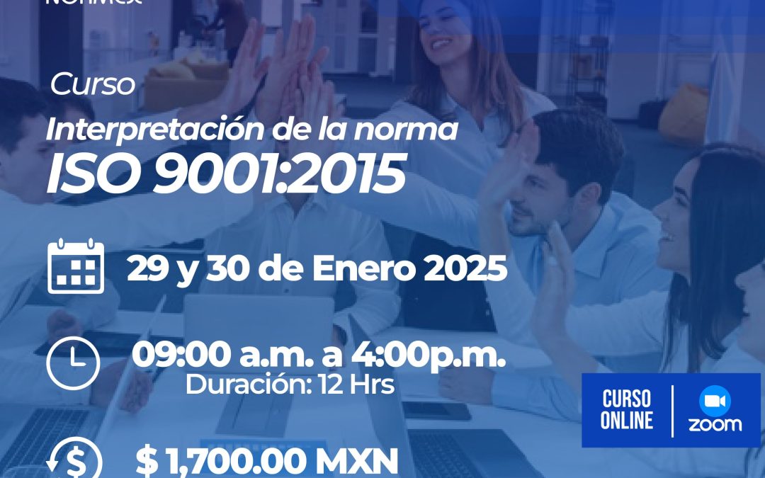 INTERPRETACIÓN DE LA NORMA  ISO 90012015